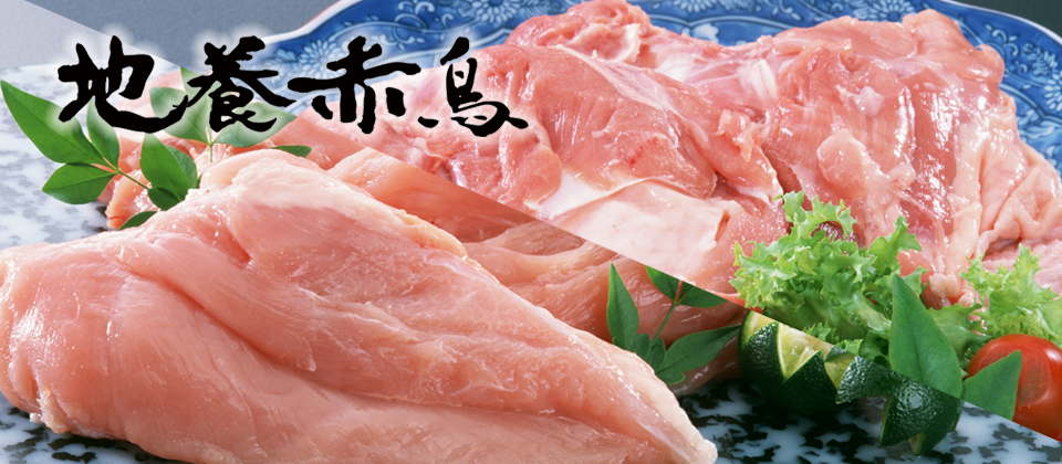 国産地養赤鳥
