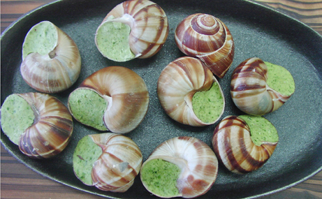 エスカルゴ