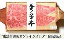 山形県産手ノ子牛 ステーキギフト（サーロイン） 5枚入り