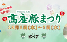 【10月1日より】高座豚まつりのお知らせ｜各店舗のチラシはこちら